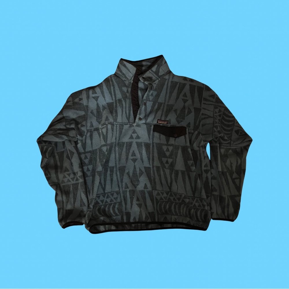 Rare Patagonia synchilla Large